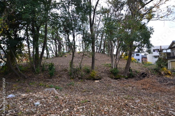 Obraz 御廟表塚古墳