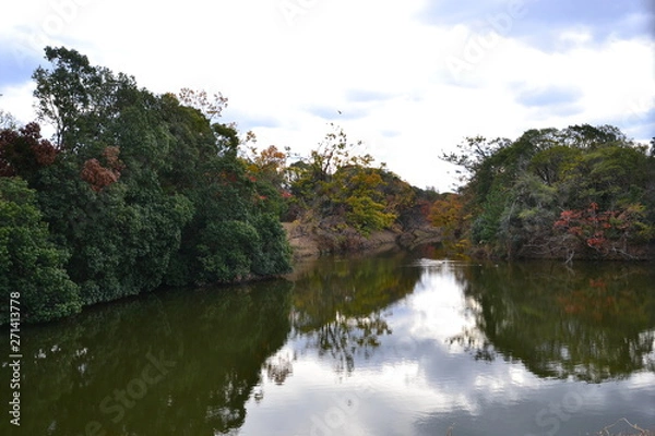 Obraz 仁徳天皇陵の周濠