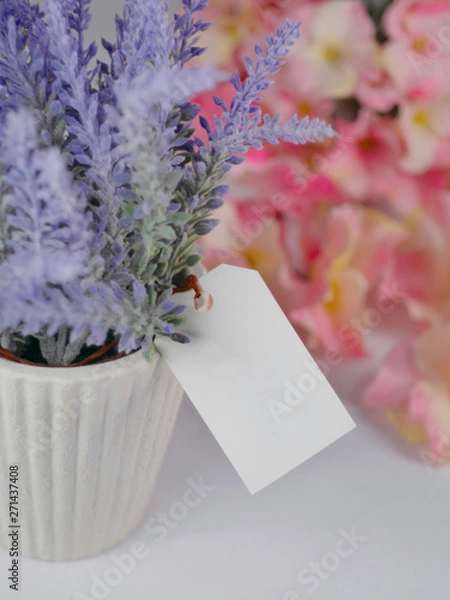 Fototapeta Purple lavender in white pots, with blank tag paper Set on a white background and blurry flowers