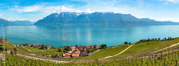 Obraz Panoramic view of vineyards in Lavaux region, near Vevey, over Lake Leman (Lake Geneva), Canton of Vaud, Switzerland