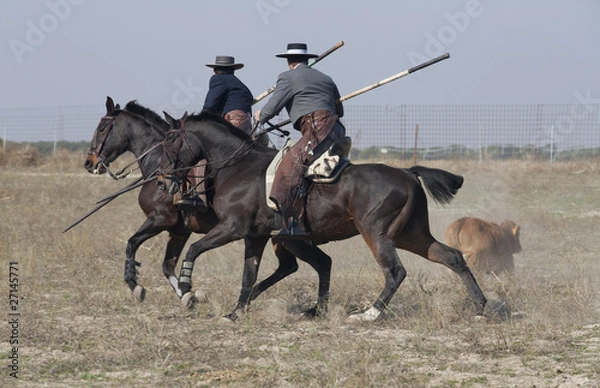 Obraz acoso y derribo