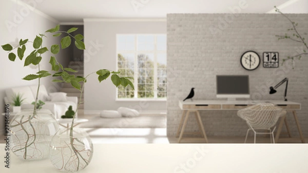 Fototapeta White table top or shelf with glass vase with hydroponic plant, ornament, root of plant in water, branch in vase, house plant, modern blurred office in the background, interior design