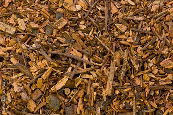 Obraz Sarsaparilla Root (Hemidesmus indicus)