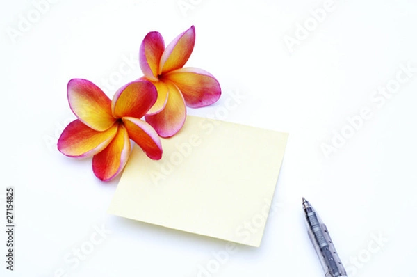 Obraz Frangipani flowers and paper,isolated on white background