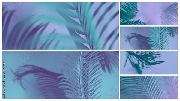 Fototapeta trendy design, nature and background concept blue duotone palm tree leaves