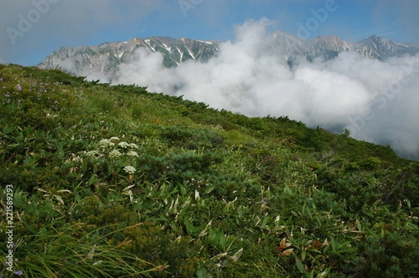 Obraz 唐松岳登山