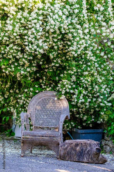 Fototapeta Rue du village de Provence, ancien chaise en rotin sous arbuste en fleurs blanches de Philadelphus (seringats). Esparron de Verdon. 