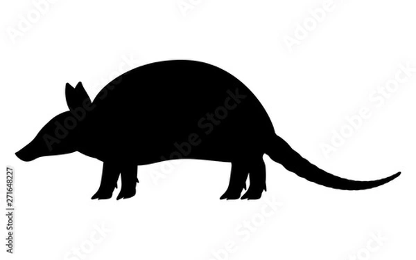 Obraz Vector illustration black silhouette armadillo