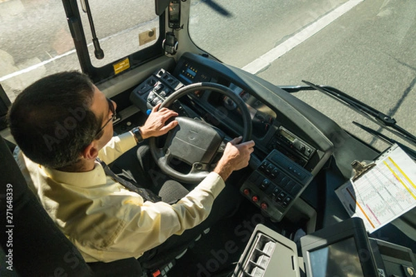 Obraz Bus driver at work