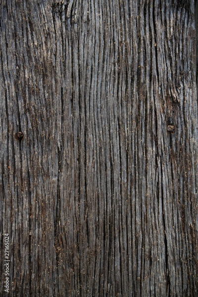 Obraz Wood old grain