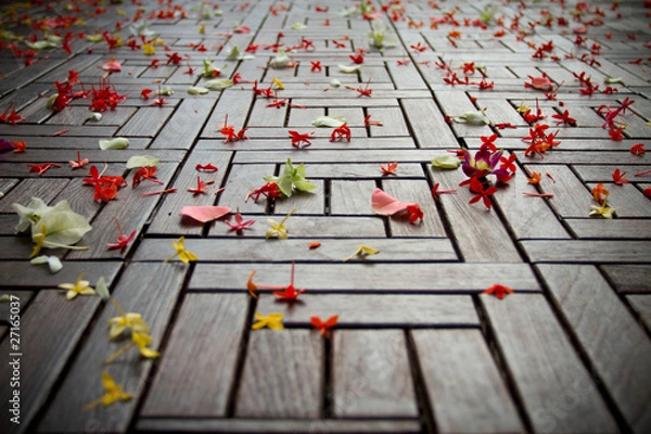 Obraz Flower which shower in the ground