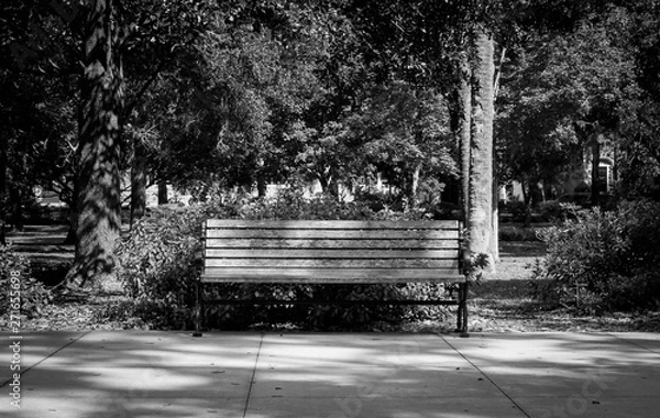 Fototapeta Black and white park bench