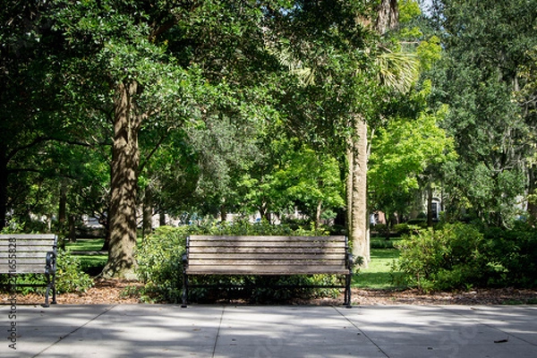 Fototapeta Front of park bench