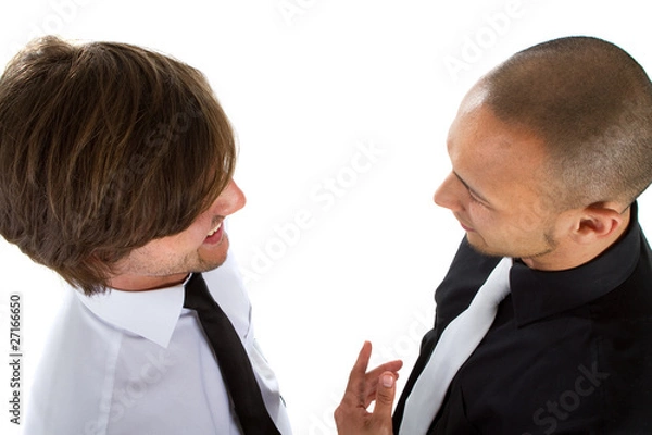 Obraz Two fresh businessman working together