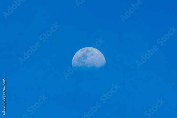 Fototapeta LUNA