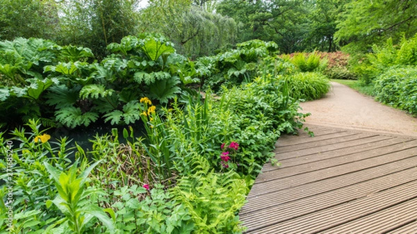 Obraz Path in the garden