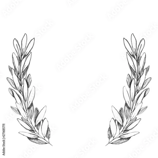 Fototapeta Customized Olive branch hand drawn with pencil frame or wreath. Have empty space for text. Plain and sweet grayscale design for postcards, save the date cards, wedding or birthday invitations