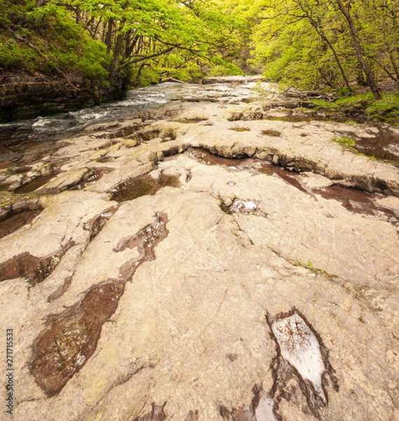 Fototapeta Limestone Pavement