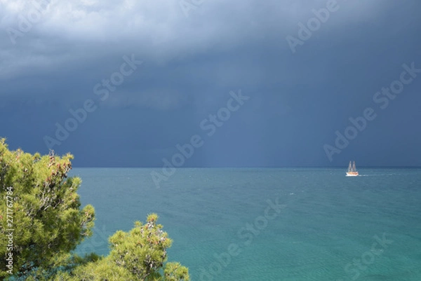 Fototapeta The stormy sky and the sun illuminate the sailing yacht and pine branches in the foreground. Amazing natural colors. Contrasting natural lighting. Adriatic Sea.