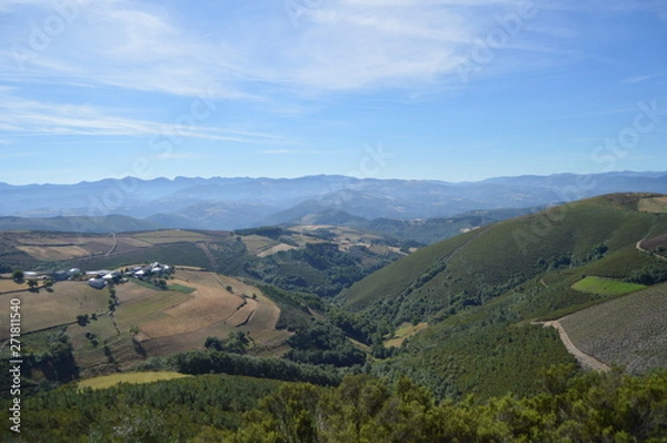 Fototapeta Coto Village In The Mountains Of Galicia Full Of Valleys Pine Forests Meadows And Forests Of Eucalyptus In Rebedul. August 3, 2013. Rebedul, Lugo, Galicia, Spain. Rural Tourism, Nature.