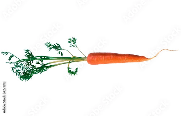 Obraz carrot