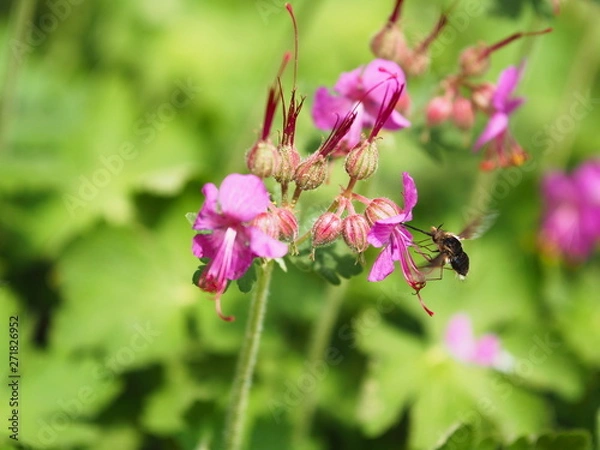 Obraz OLYMPUS DIGITAL CAMERA