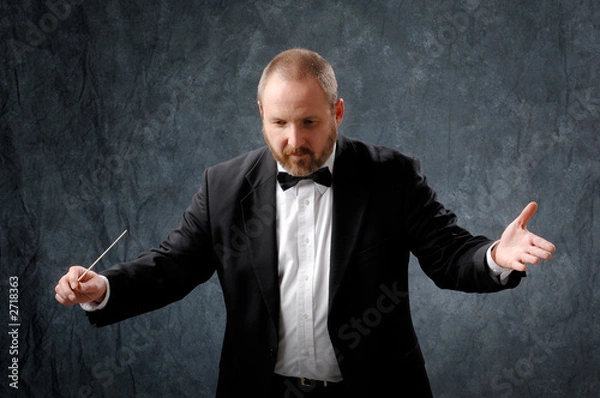 Obraz symphony conductor