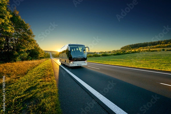 Fototapeta White bus traveling on the asphalt road around line of trees in rural landscape at sunset