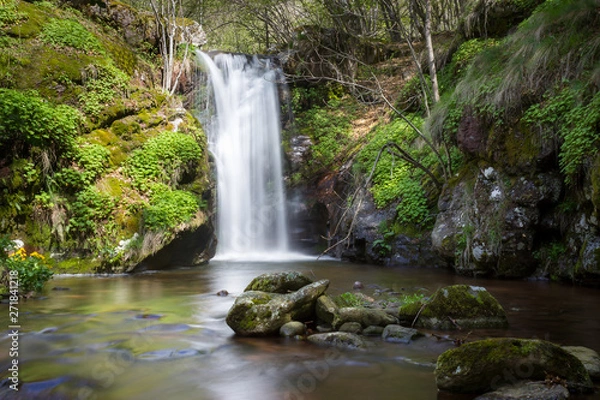 Fototapeta Low perspective view of a scenic mountain waterfall in a vivid green forest lighten by the sun with foreground rocks