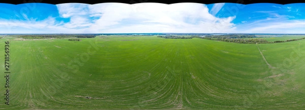 Fototapeta 360 panoramic view from the air without the sky on green agricultural fields