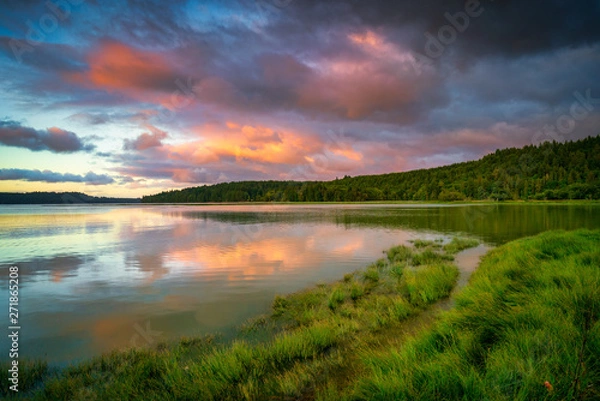 Fototapeta Oyster Bay Spring Colors And Grasslands