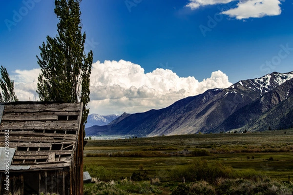 Fototapeta Landscape of the northern side os Mono Lake with beautiful meadows and mountains