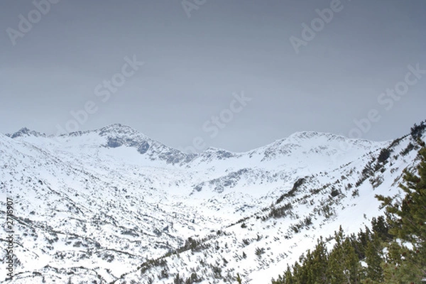 Fototapeta winter scene from national park pirin
