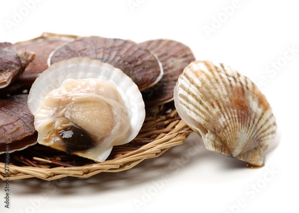 Obraz Raw scallop on white background 