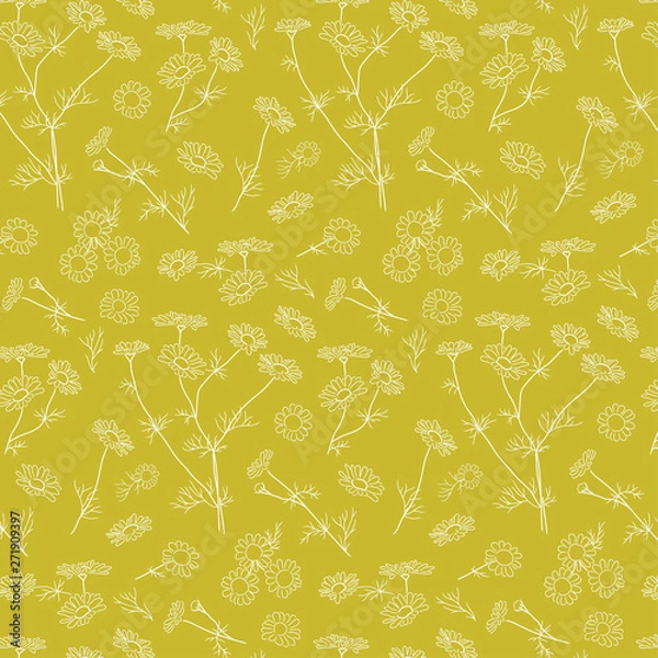Fototapeta seamless chamomile pattern