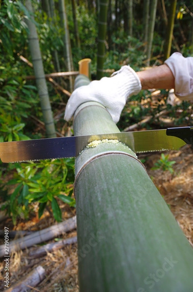 Obraz 青竹を切る