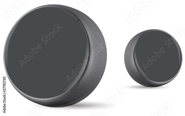 Obraz hockey puck