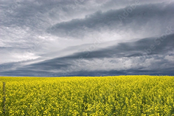Obraz storm clouds over the prairie
