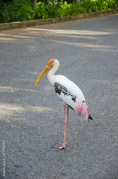 Obraz adjutant stand on the road