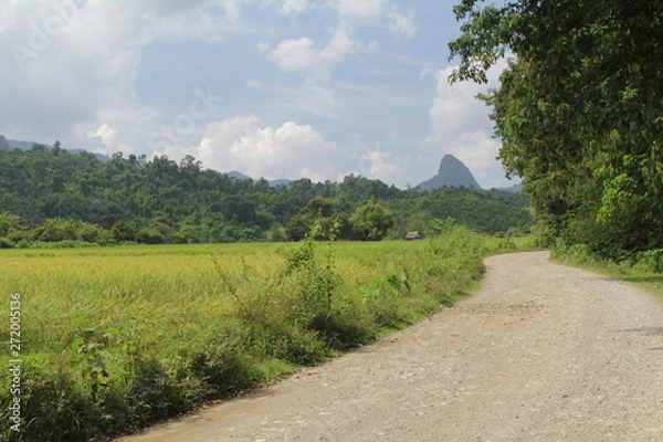 Obraz romatische Reisfelder