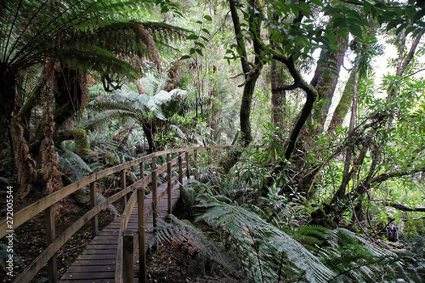 Obraz Abenteuerbrücke im Wald