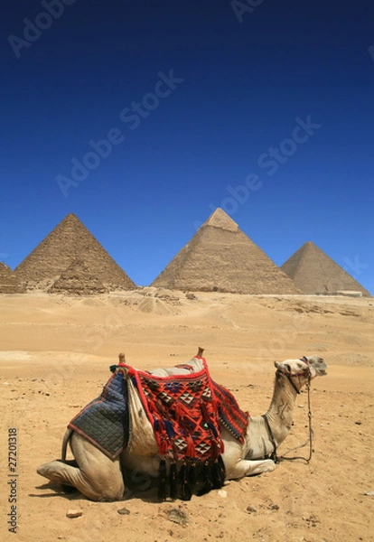 Obraz Pyramides d'Egypte