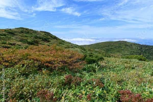 Fototapeta 秋の地蔵山と三宝荒神山