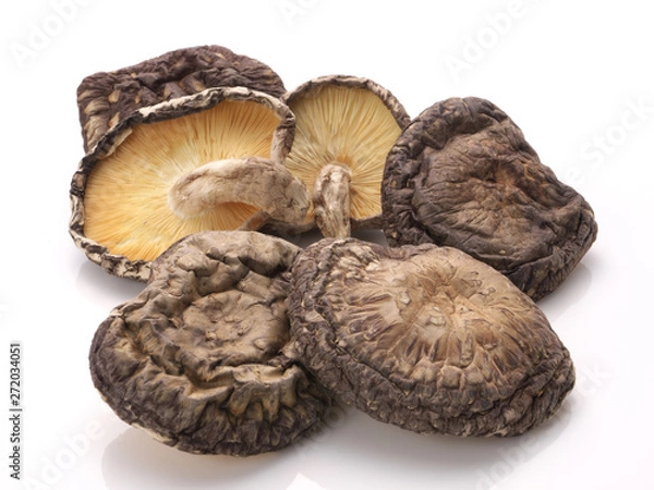 Fototapeta 干し椎茸（大分県産）