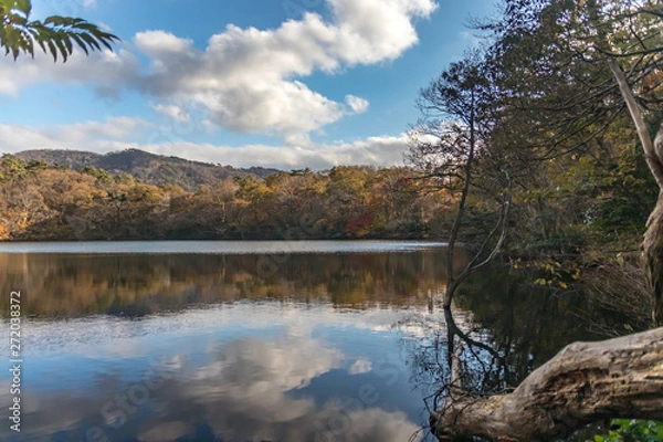 Fototapeta 秋の池