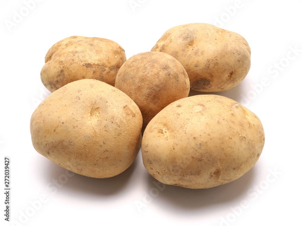 Obraz じゃがいも（鹿児島県産）