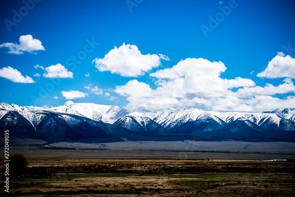 Obraz Beautiful spring landscape in Altai 