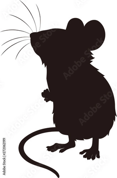 Fototapeta 立ち上がる　鼠　シルエット