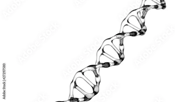 Obraz dna in high quality on white background