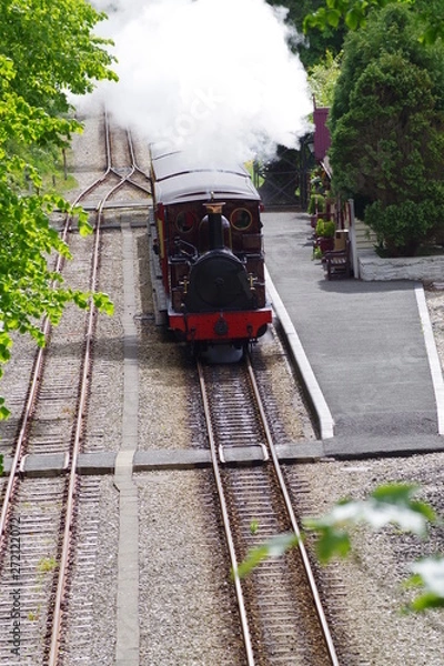 Fototapeta 走る蒸気機関車